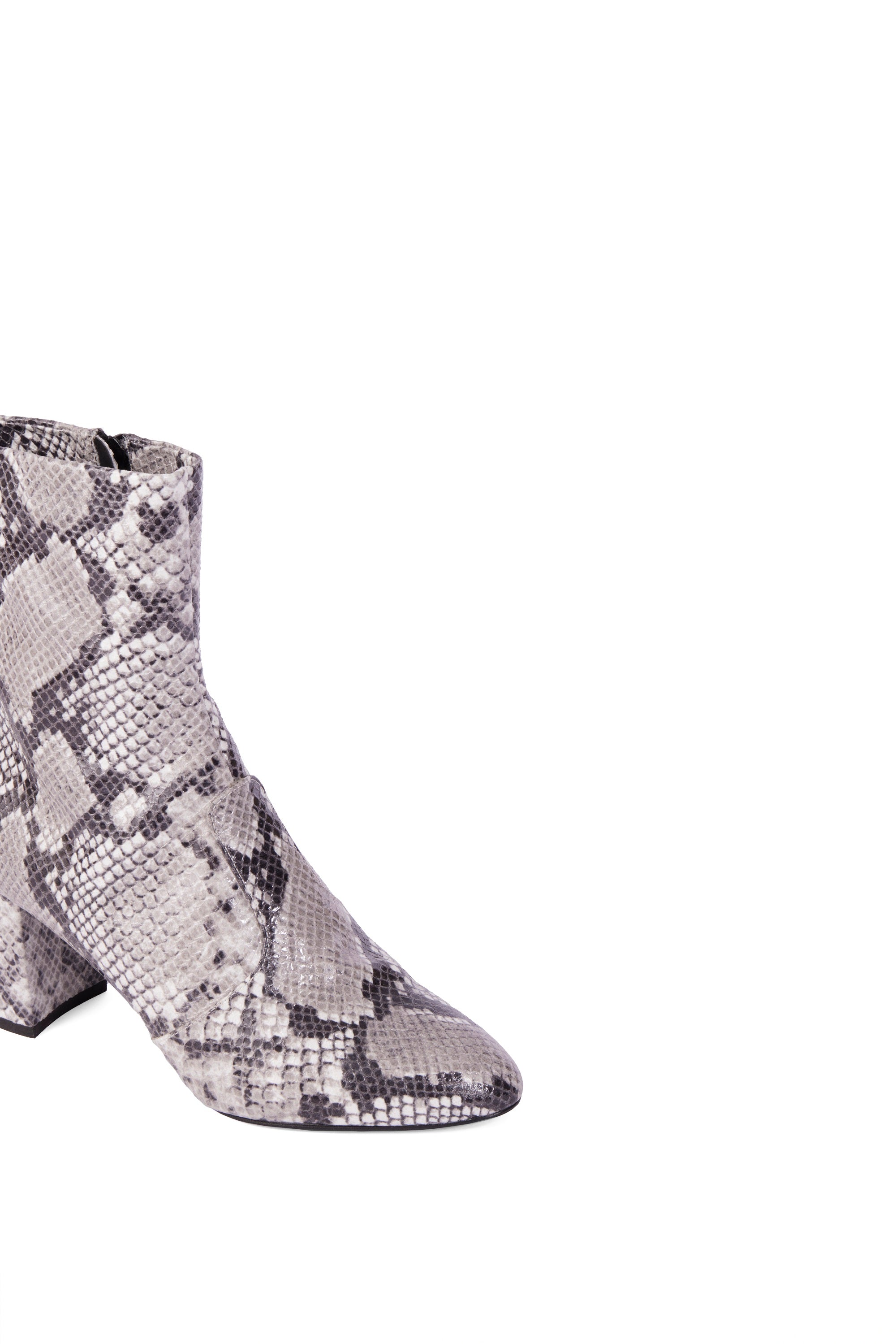 GABY PYTHON ROCCIA - Vegan Ankle Boot | AERA